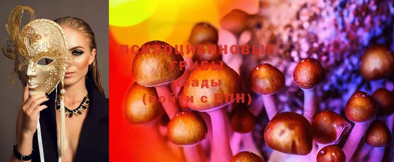 Псилоцибиновые грибы MAGIC MUSHROOMS  Лениногорск 